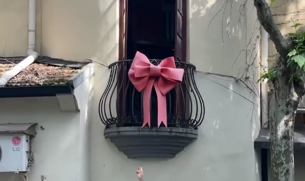 上海武康路蝴蝶结奶奶被家人接走居民呼吁打卡不要打扰正常生活