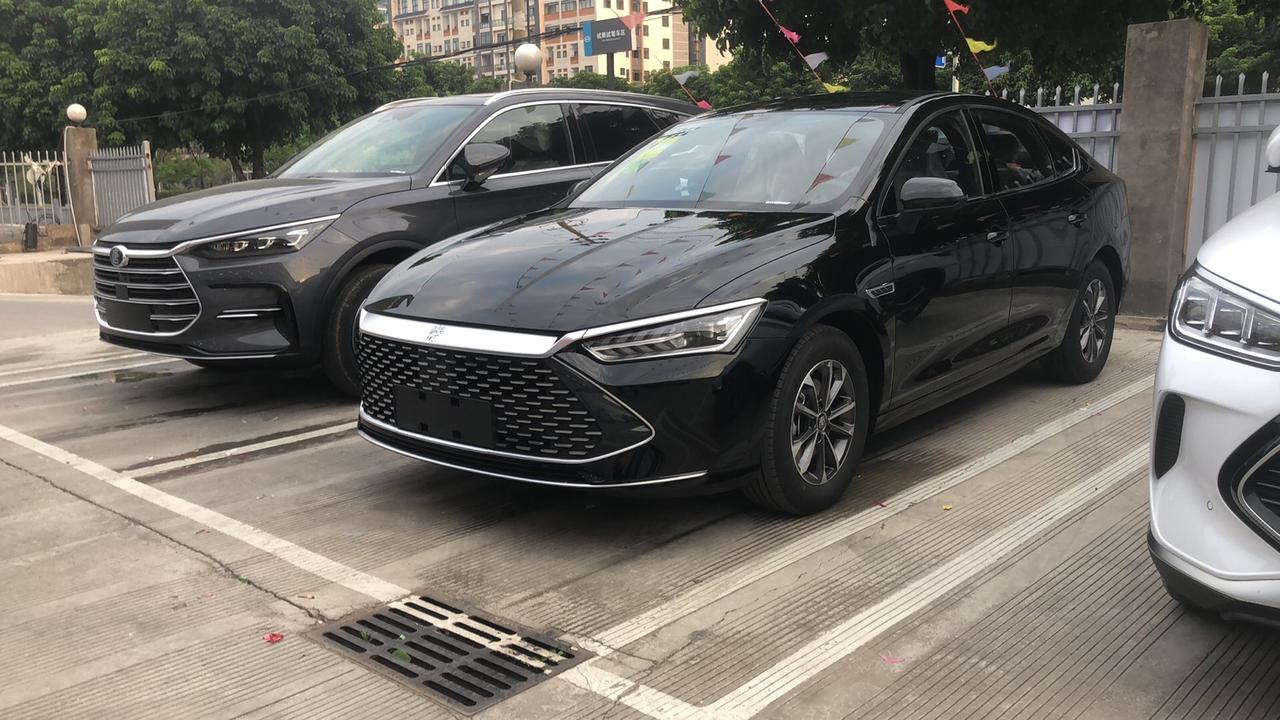 车已到13天_秦plus dm-i车友圈_hfdz会飞的猪_懂车帝