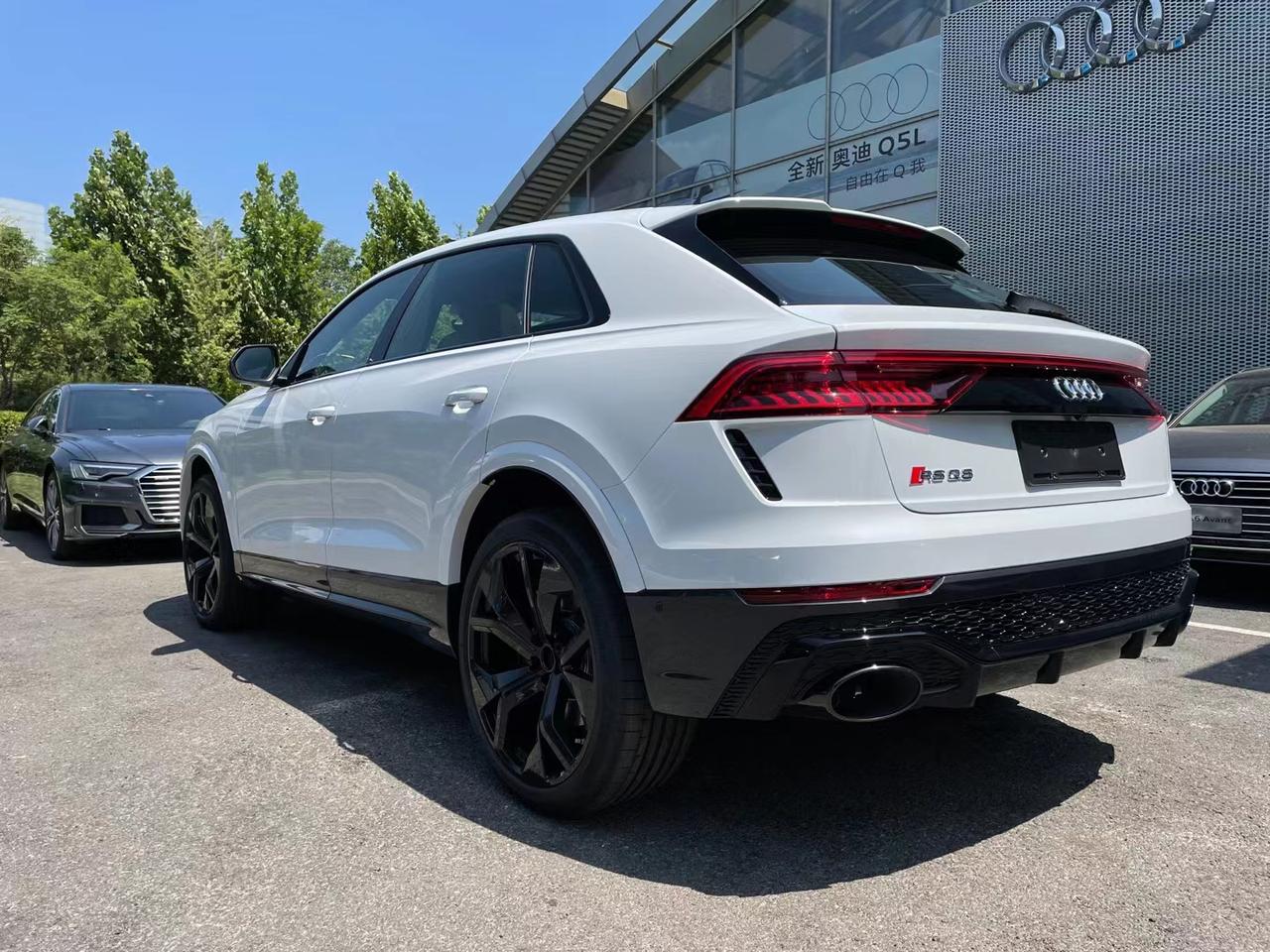 简单粗暴 rsq8白/棕,熊猫迪配色_奥迪rs q8车友圈_懂车帝