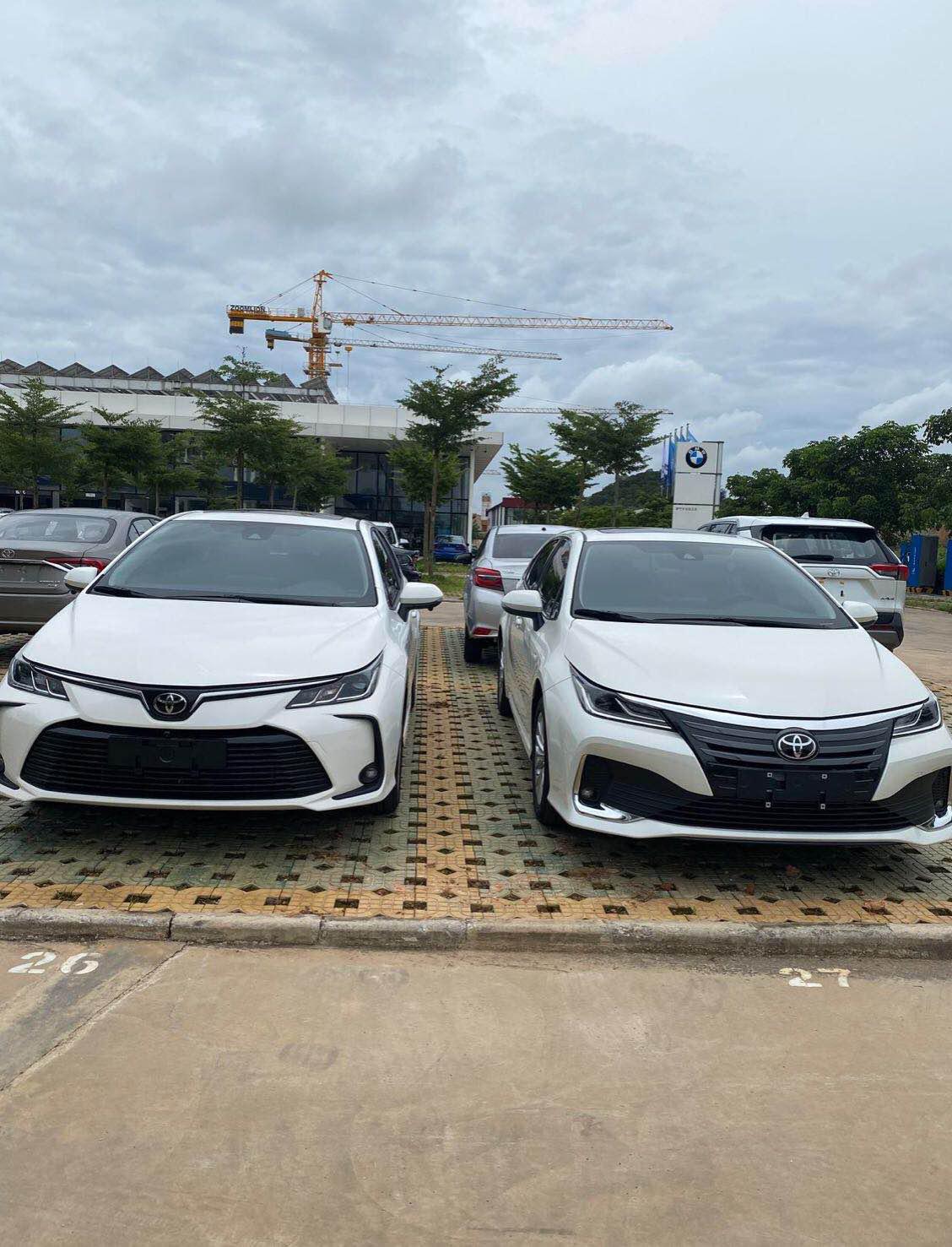 卡罗拉vs亚洲狮