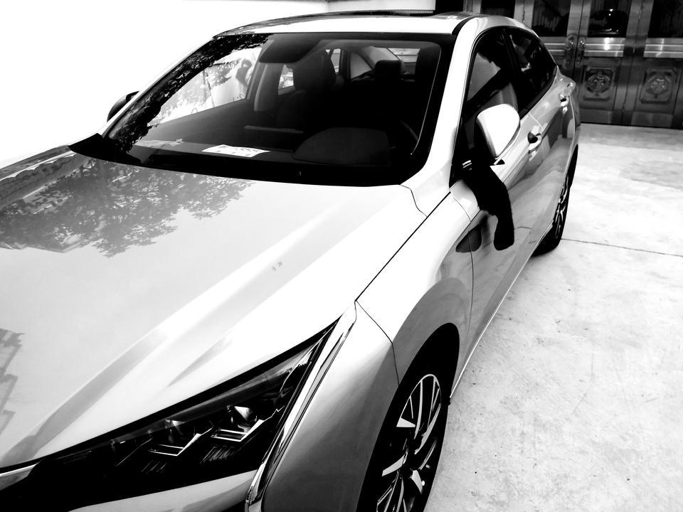 科鲁泽车主·车龄1年拉轰的陈先森奕炫车主·车龄2年总有有奇葩嫌这个