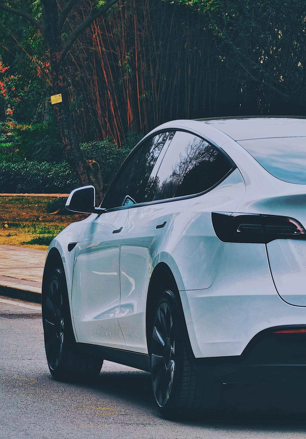 model y的model photos_model y车友圈_懂车帝