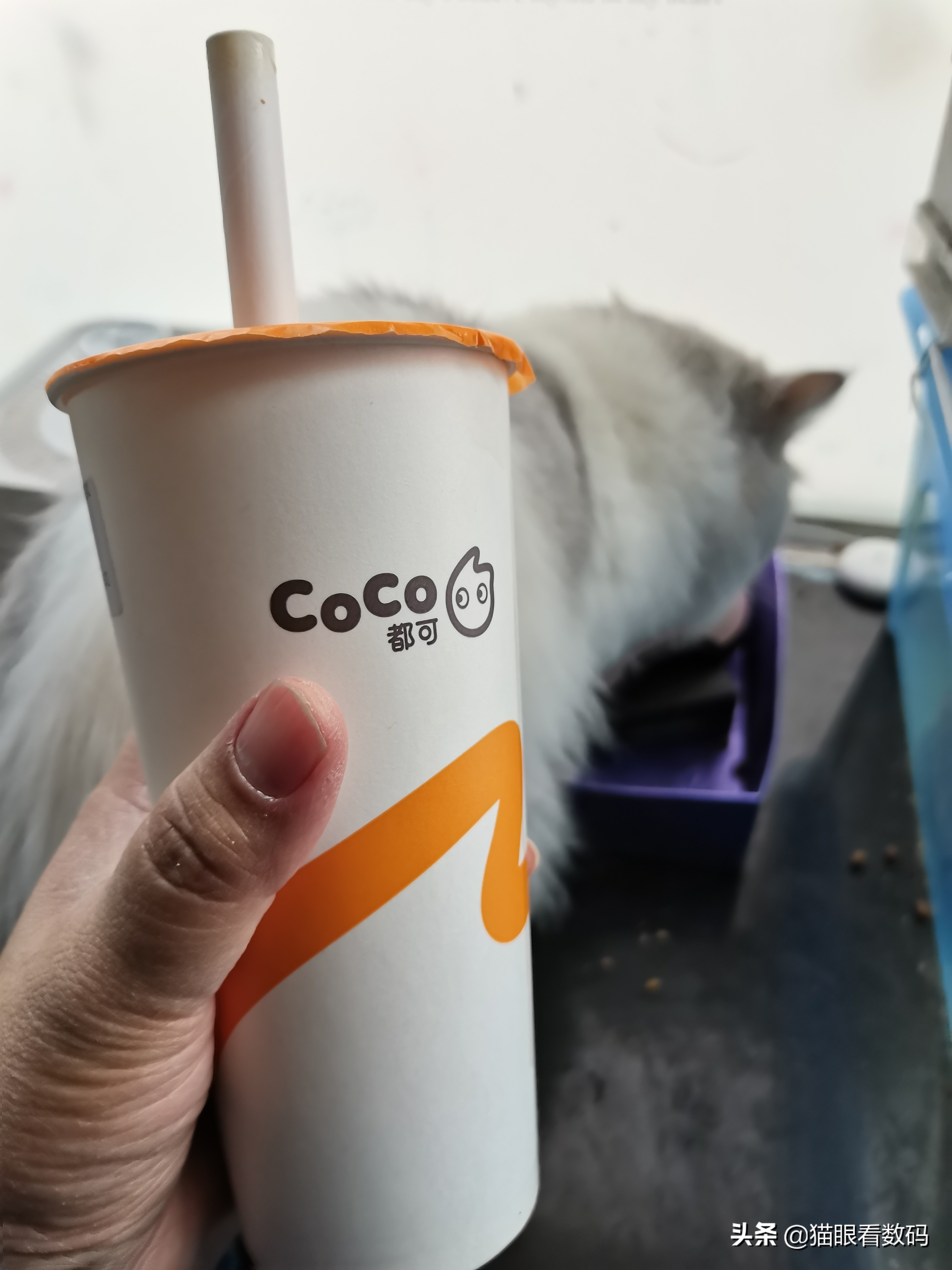 吸管|消费者吐槽纸吸管 体验确实很差