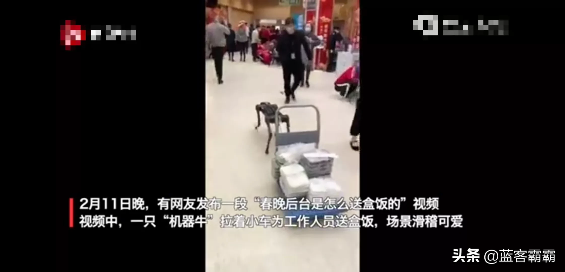 机器|春晚后台机器牛送盒饭 哎呦我天太不尊重狗了