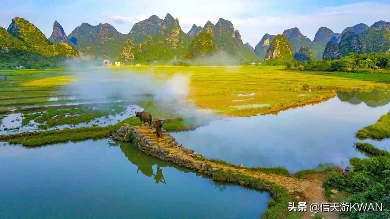 今日头条 今日头条