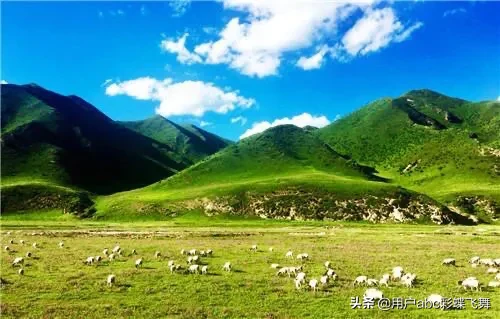 女人不赚钱就没地位