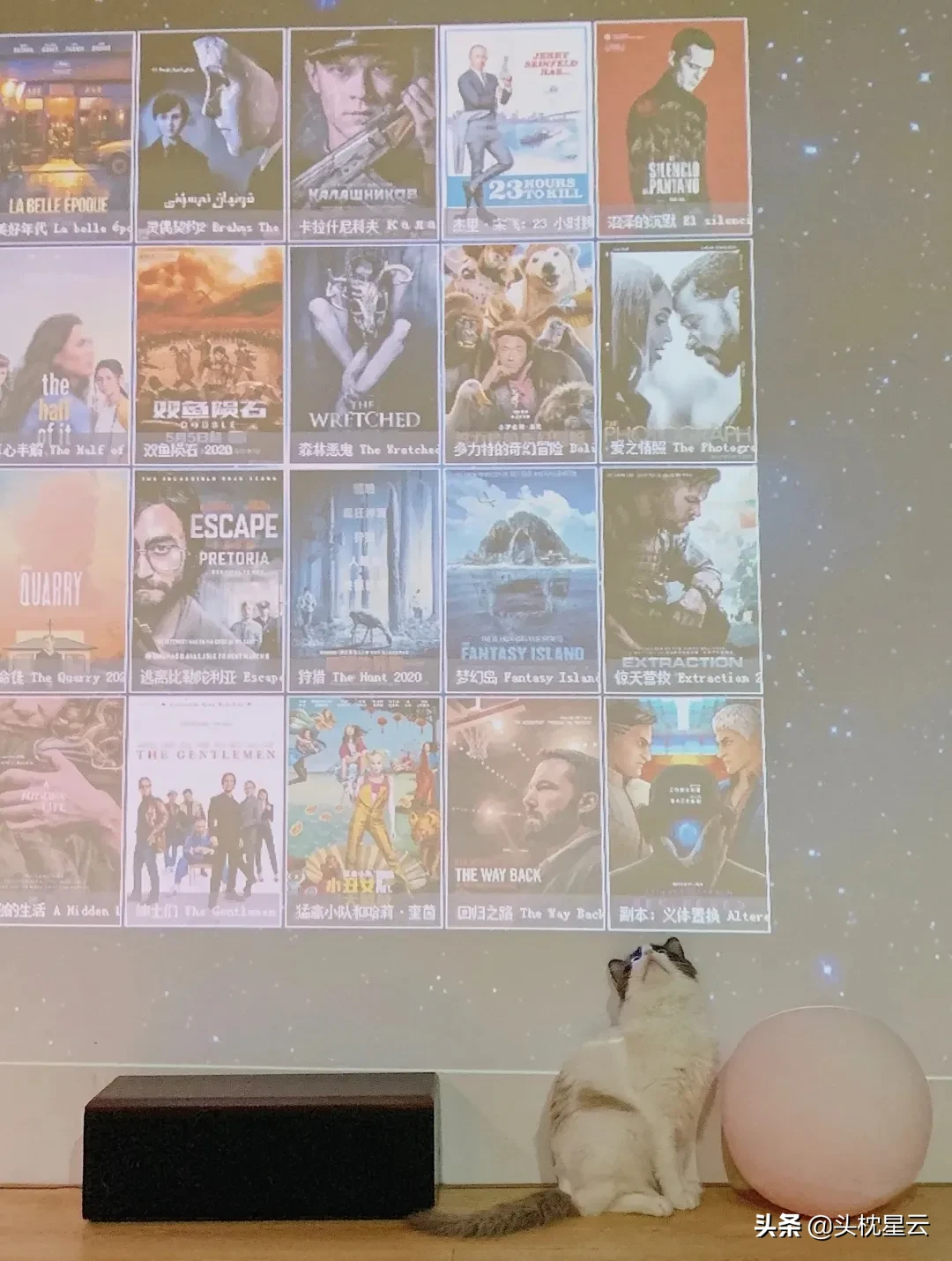 过年|上海就地过年带动酒店业 大家都去哪里玩了呢？