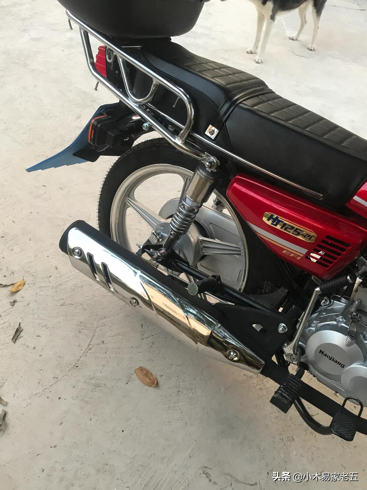 昨天刚入手的,豪江电喷链条125cg,奇了怪了cg款居然也有