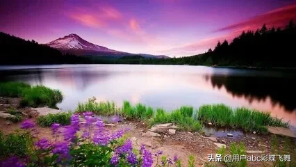 女人不赚钱就没地位