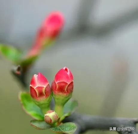 |近十年票房十部电影 有9部是我们国产影片