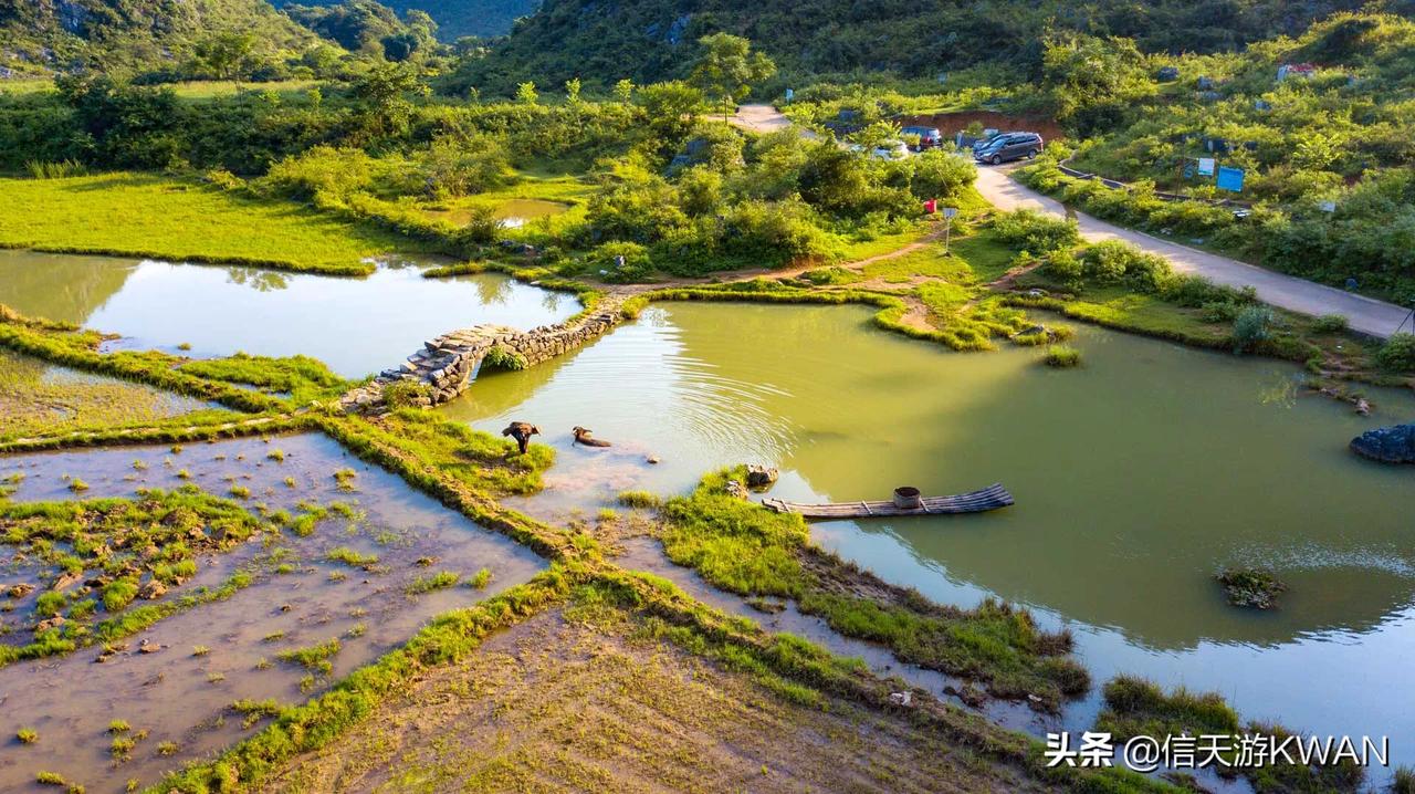 今日头条 今日头条