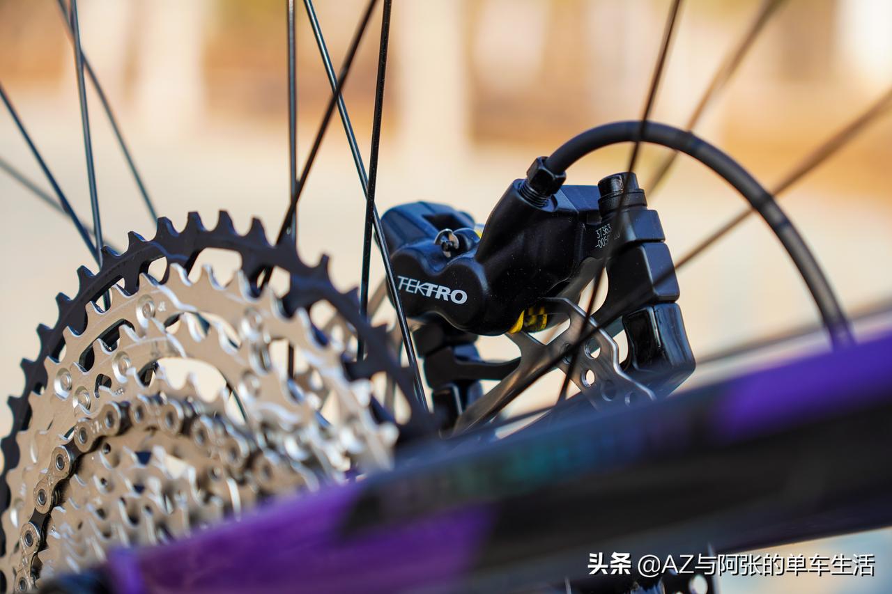 polygont8整车仅售16800