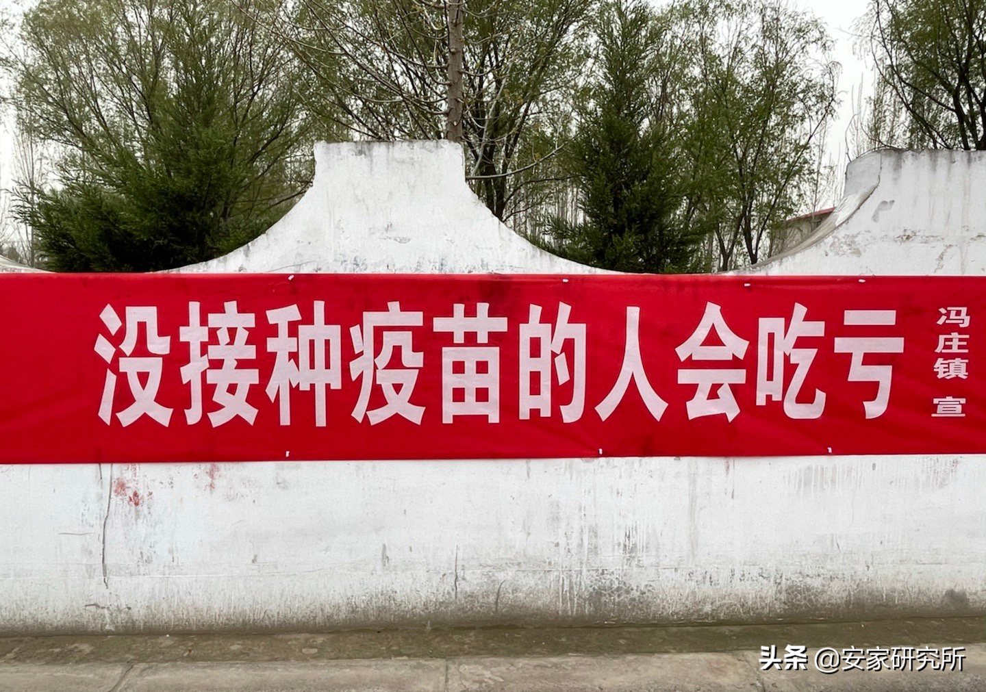 一起苗苗苗苗苗最洗脑的打疫苗标语被刷爆