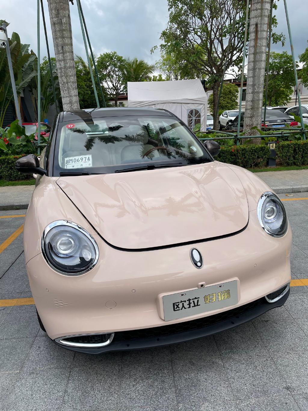 欧拉好猫的几种颜色和内饰颜色米粉 咖啡;小蓝;红 白;小绿