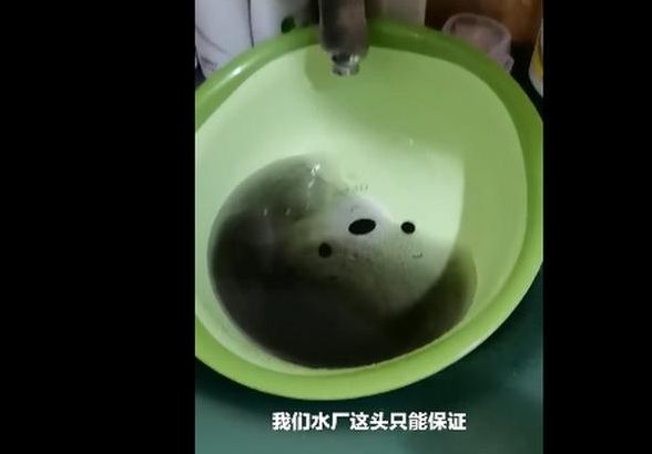 自来水|哈尔滨居民家自来水黑如墨 系管壁的东西造成的