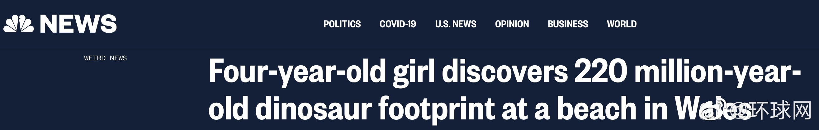 女童|英国4岁女童发现2亿年前恐龙脚印 平时最喜欢的是霸王龙