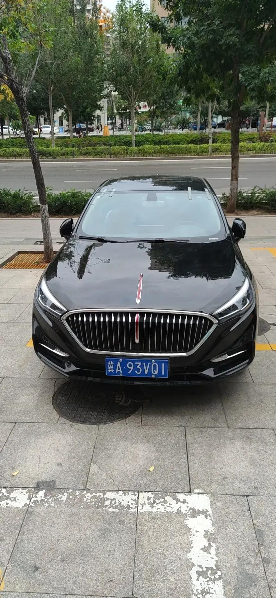 大家看看红旗车怎么样看起来确实霸气这是客户首付5900在我这订购的