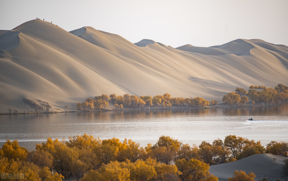 再过10天中国面积最大的塔河胡杨林将迎来最美金秋