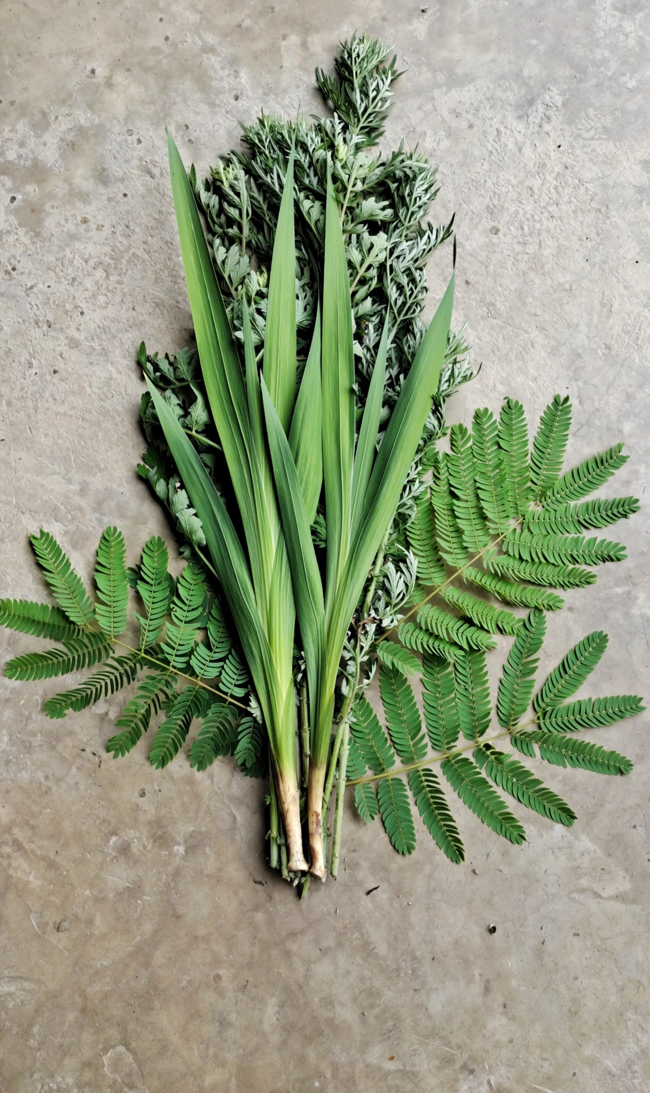 花盆里揪了两棵菖蒲 院子里剪了一把艾草 又剪了根配草 自己写的丑丑的 吉祥如意 一个端午的花束就做好了 应个节气 还怪