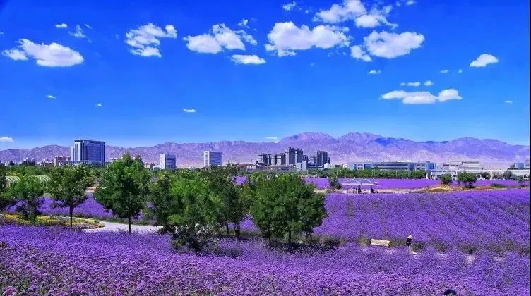 [转载]来了甘肃，你就去了4/5的中国