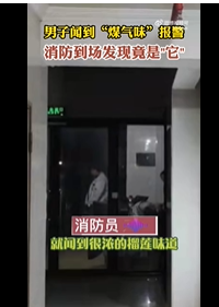 邻居吃榴莲男子以为煤气泄漏报火警 究竟是怎么一回事?!