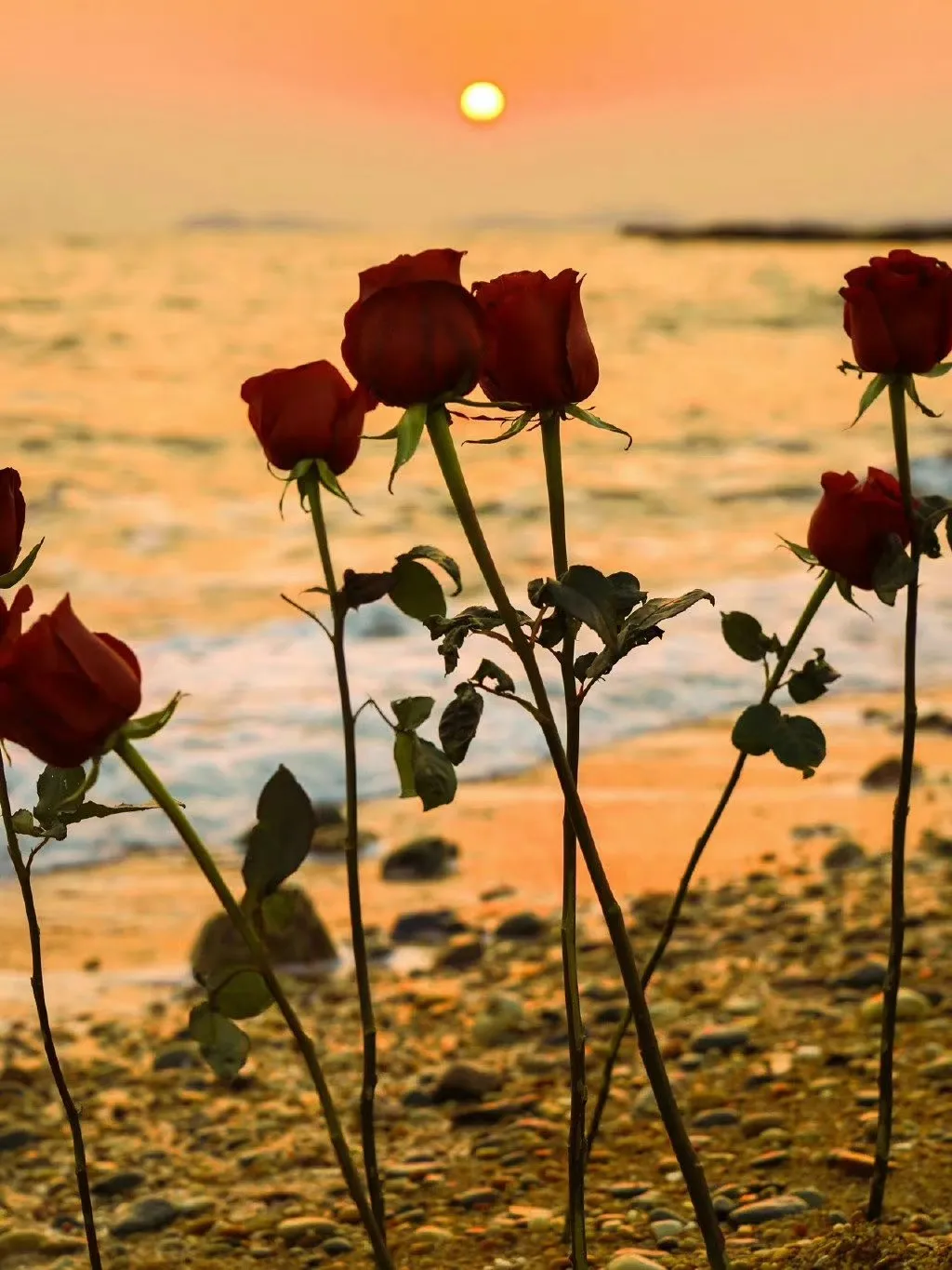 随时随地赚钱不香吗