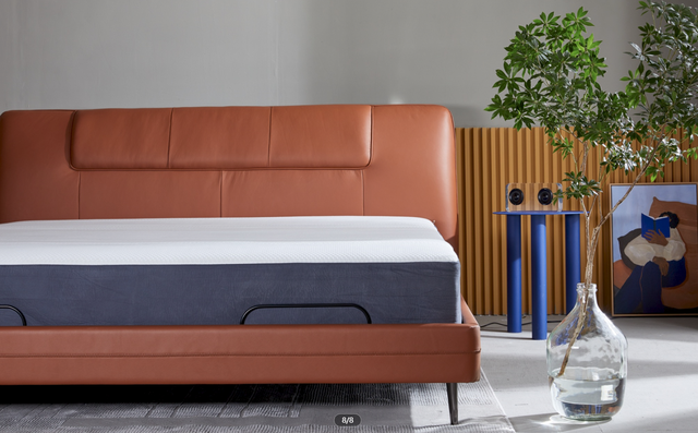 用了这个床，我真能躺一天！8H Feel真皮智能电动床X Pro体验