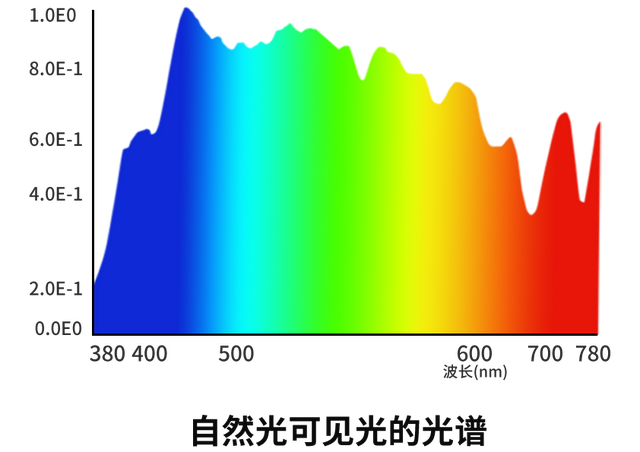 冠雅科普站 