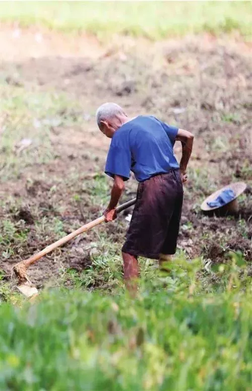 什么职业不赚钱又有人做