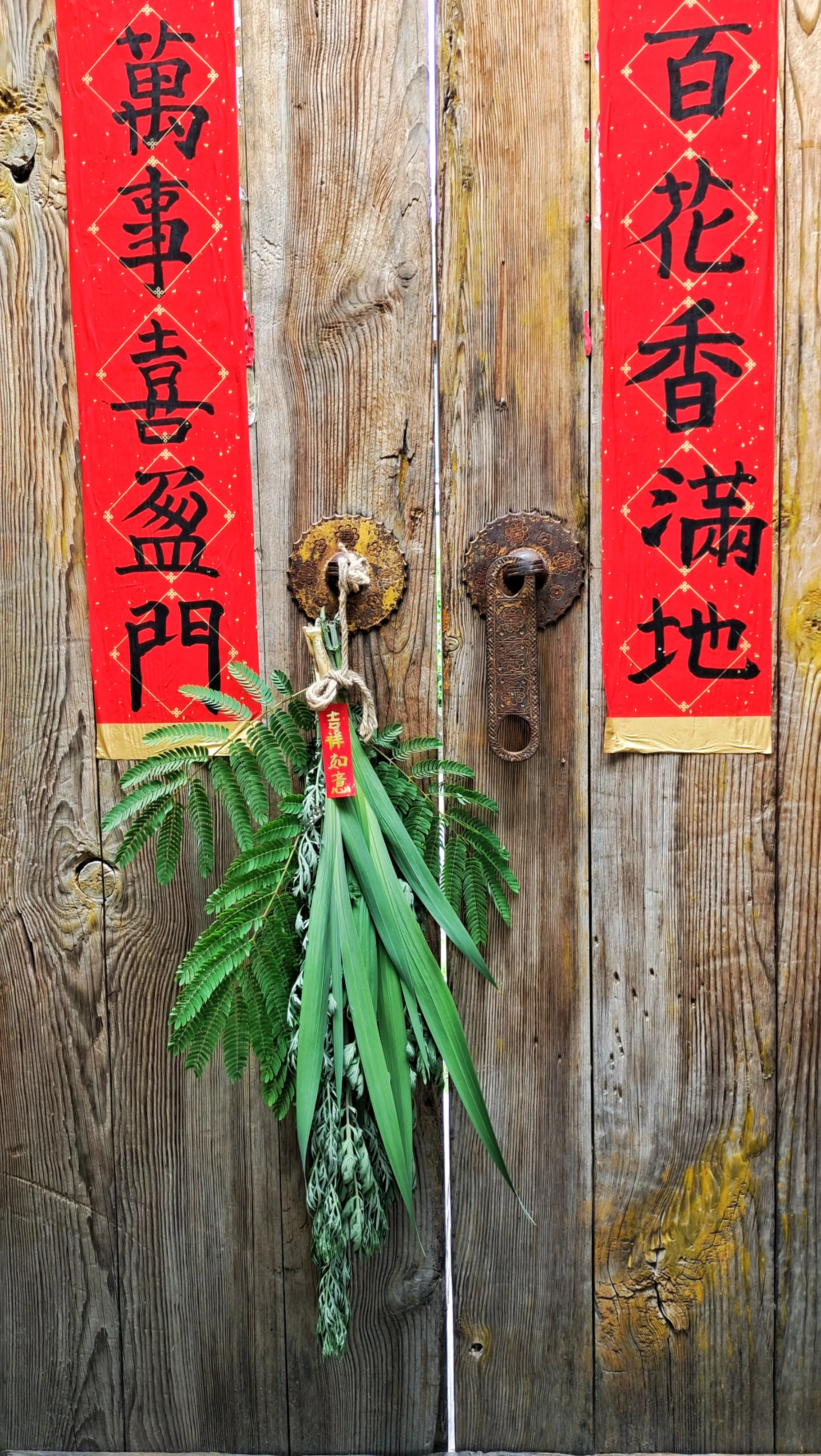 花盆里揪了两棵菖蒲 院子里剪了一把艾草 又剪了根配草 自己写的丑丑的 吉祥如意 一个端午的花束就做好了 应个节气 还怪