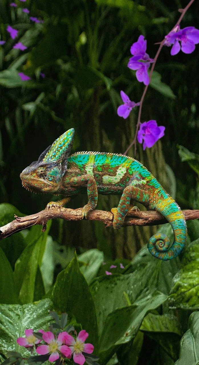 不劳动赚钱是怎么回事 不打工做什么可以赚钱