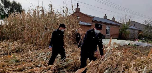 秋收季留守老人犯难 民警暖心助收获