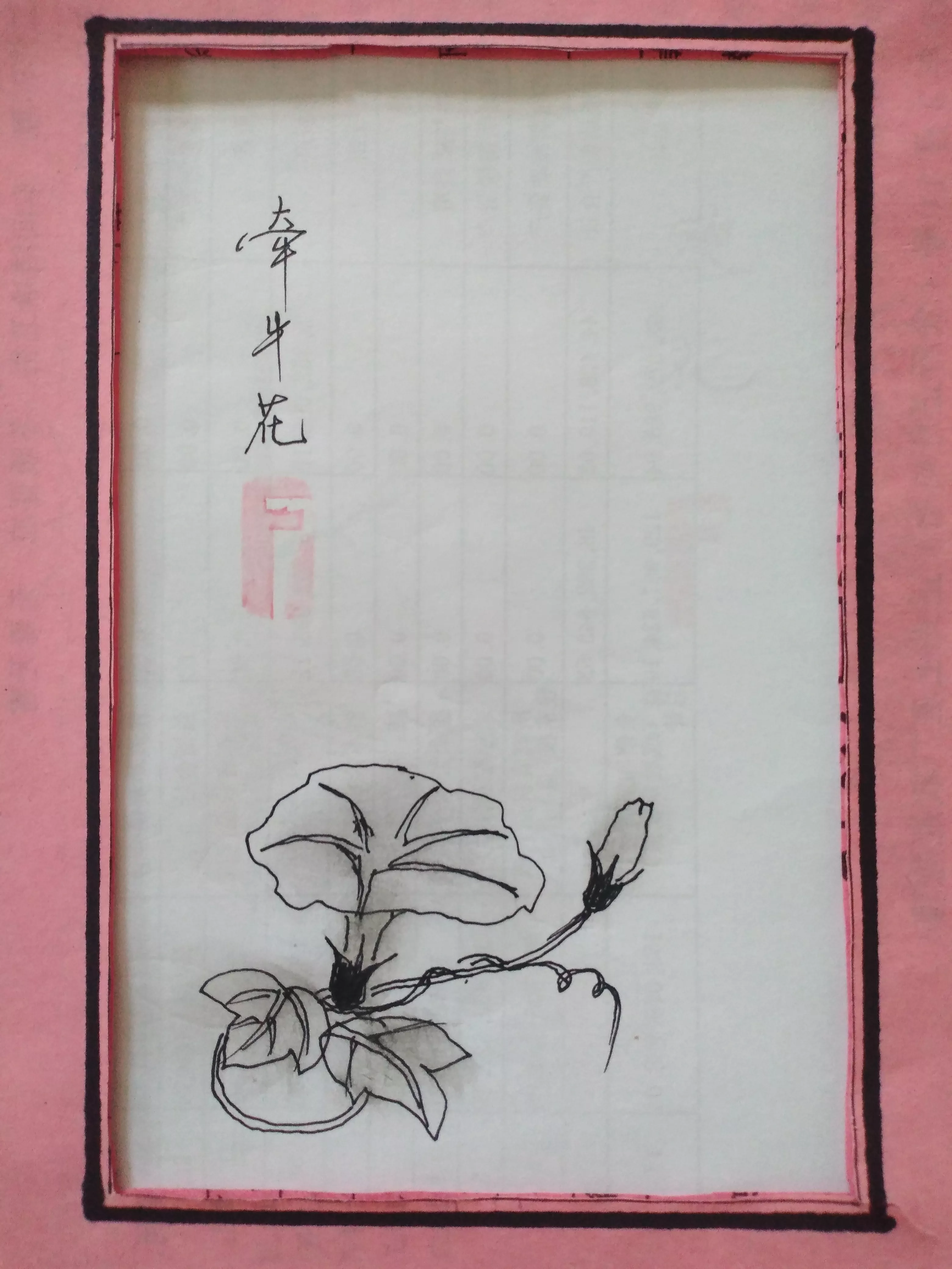 开放在夏日里的花 牵牛花 秋赏菊 冬扶梅 春种海棠 夏养牵牛 可见 在夏日里众多的花朵中 牵牛花可以算得上是宠儿了 天天看点