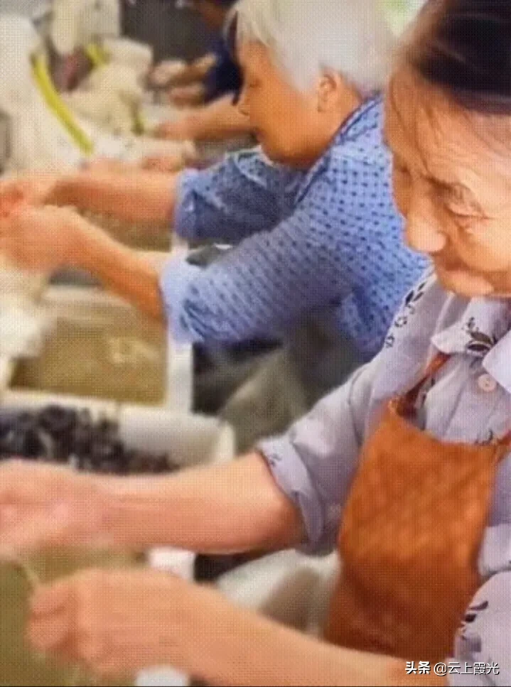 不赚钱又开心的工作