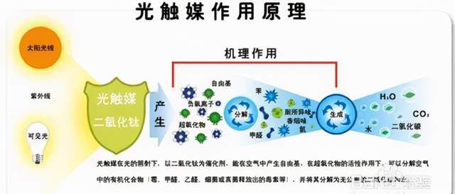 室内空气污染：如何选择除甲醛公司？