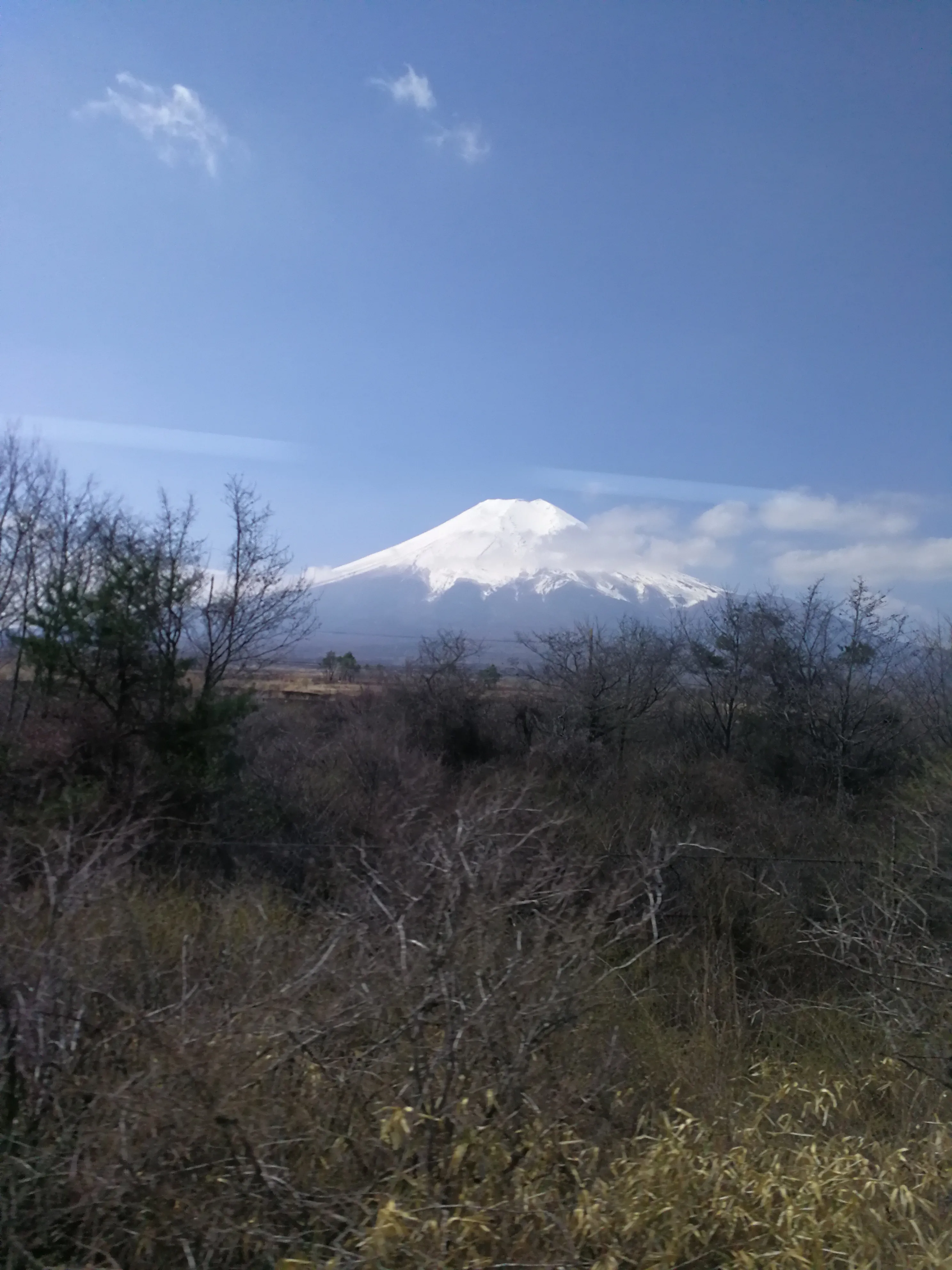 旅游回顾 十六 哪年三月 去日本旅游 富士山是日本的标志 樱花是日本的国花 每年的3月至4月初 是观赏日本樱花 观富士