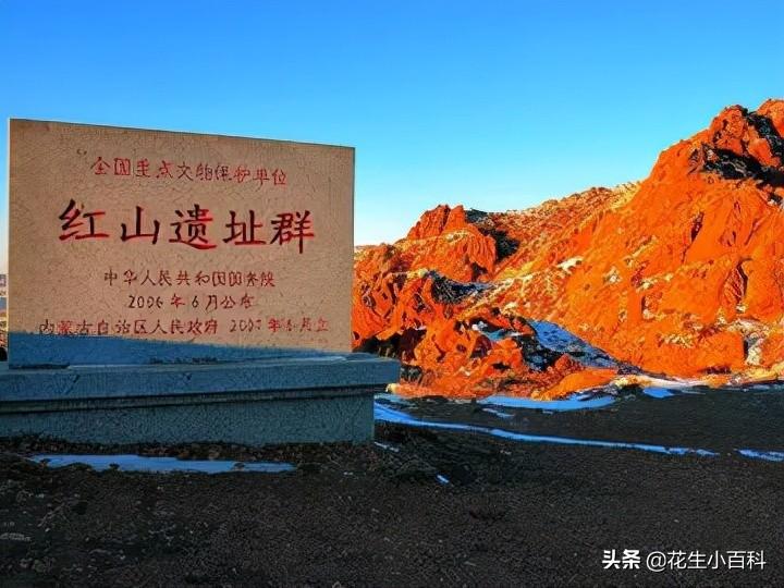 面粉煎饼的做法的步骤