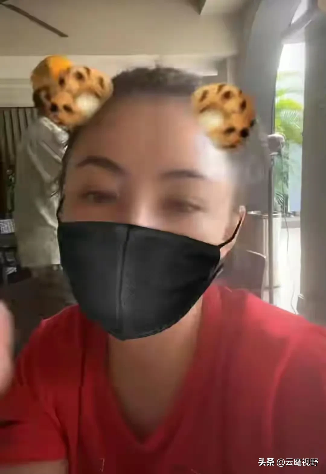 �Ű�֥��̥���������ع⣿�Ű�֥��̥����������Ϣ	