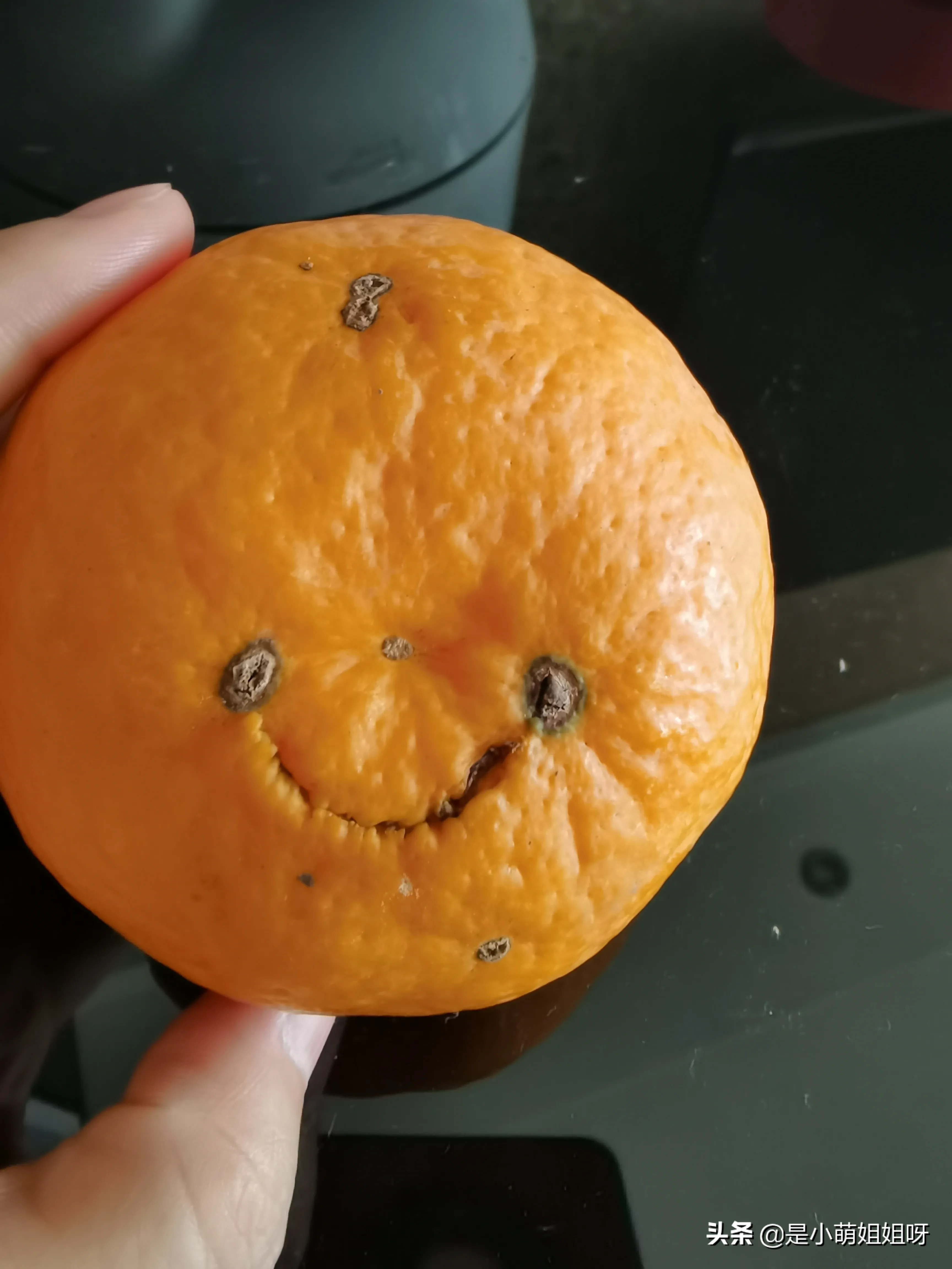 不上班可以在家干点什么赚钱