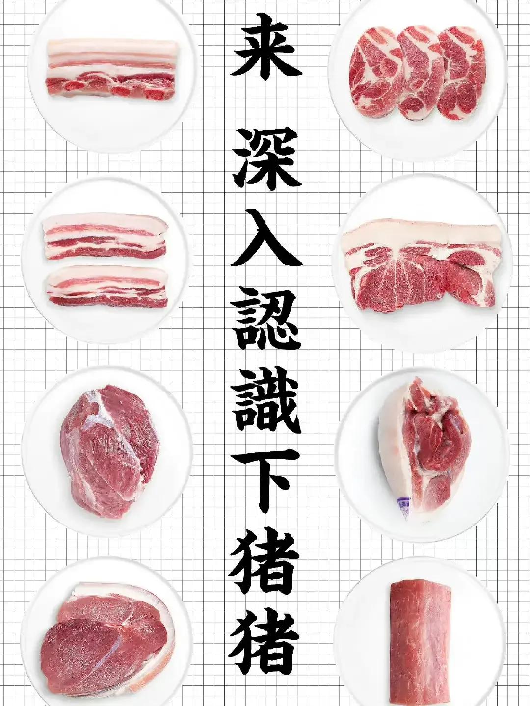 肉肉世界