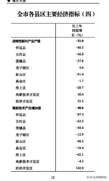 开发区统计报表
