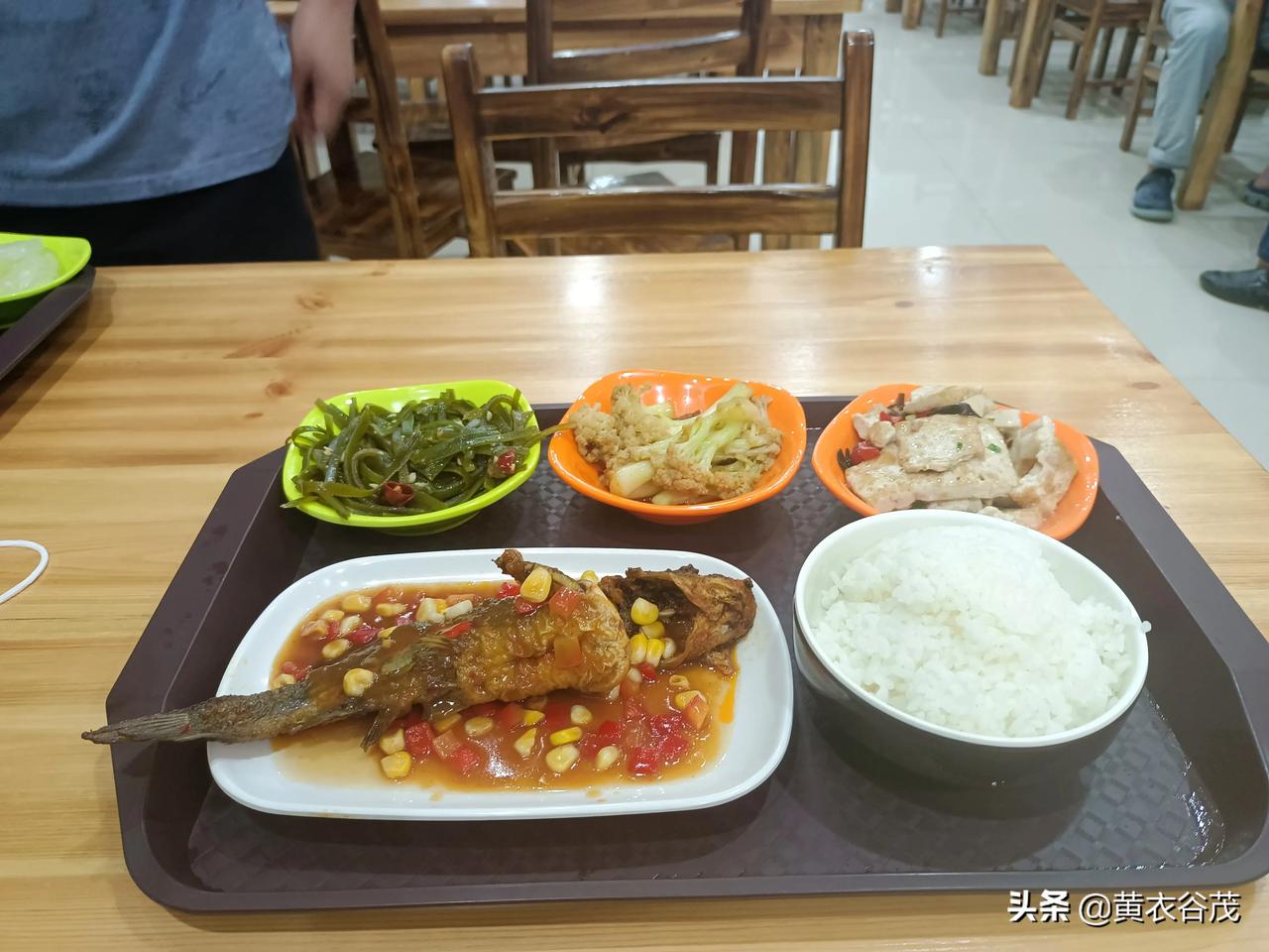 今年养鸭子能赚钱不