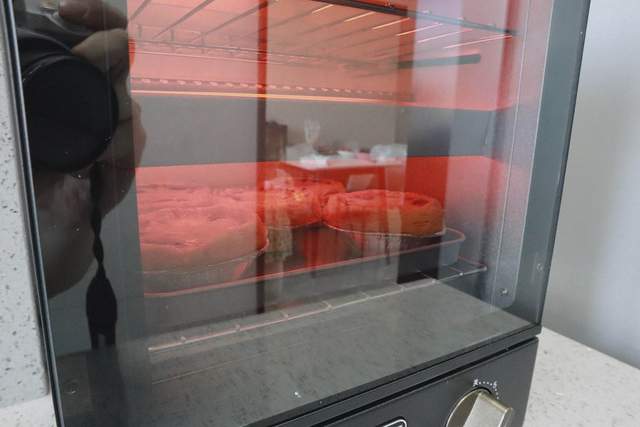 立式精致小户型烤箱｜ERNTE 黑金双层烤箱体验