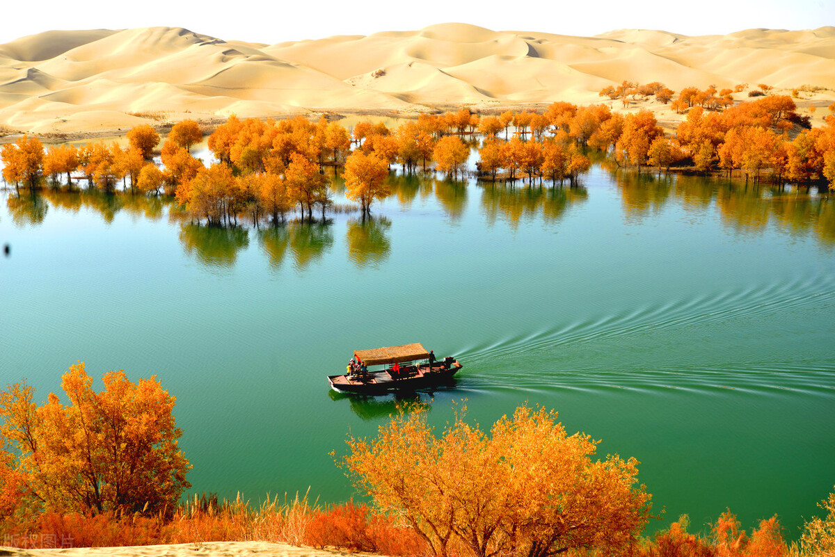 再过10天中国面积最大的塔河胡杨林将迎来最美金秋