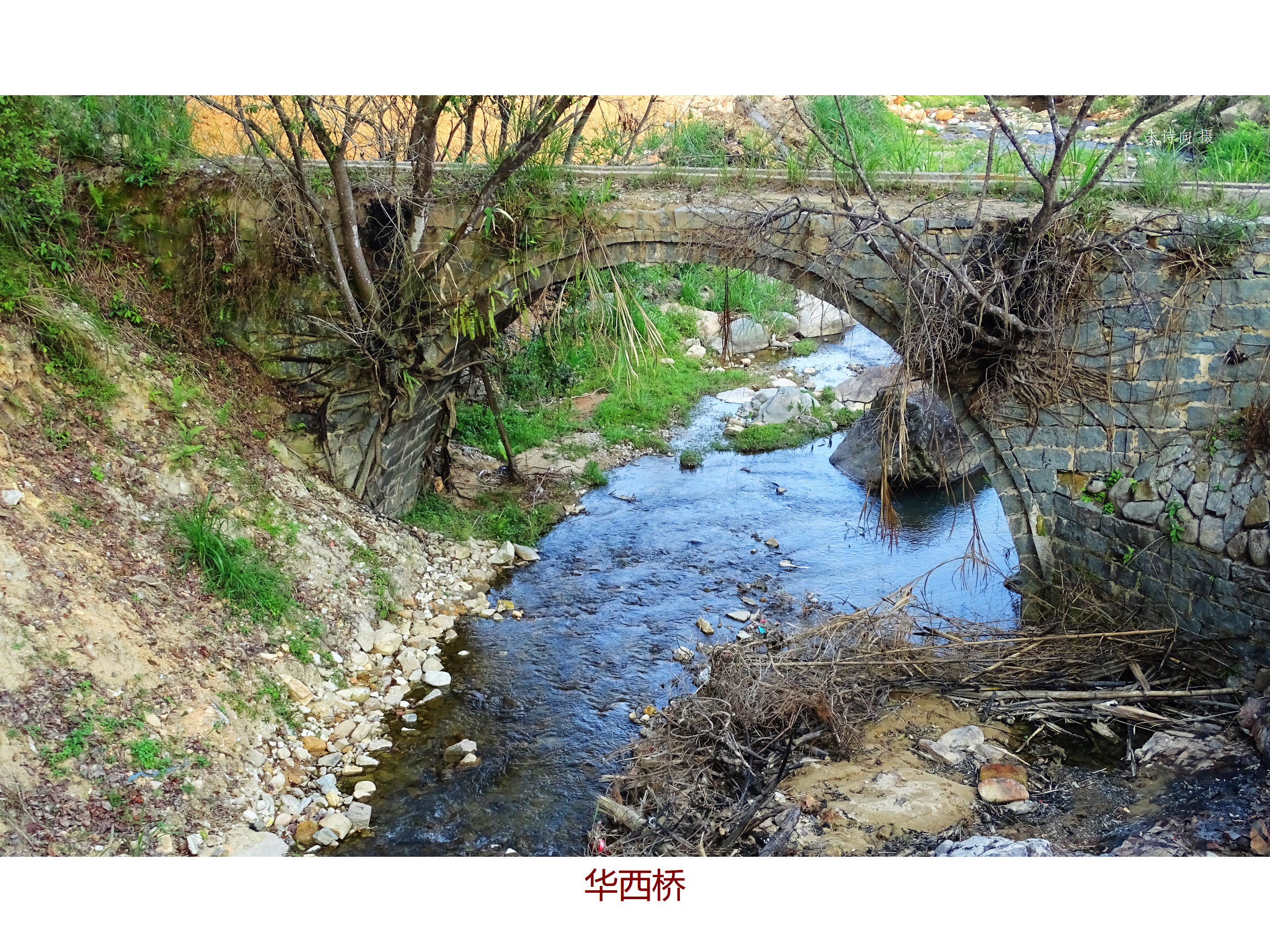 丰顺县潘田镇的“古桥”