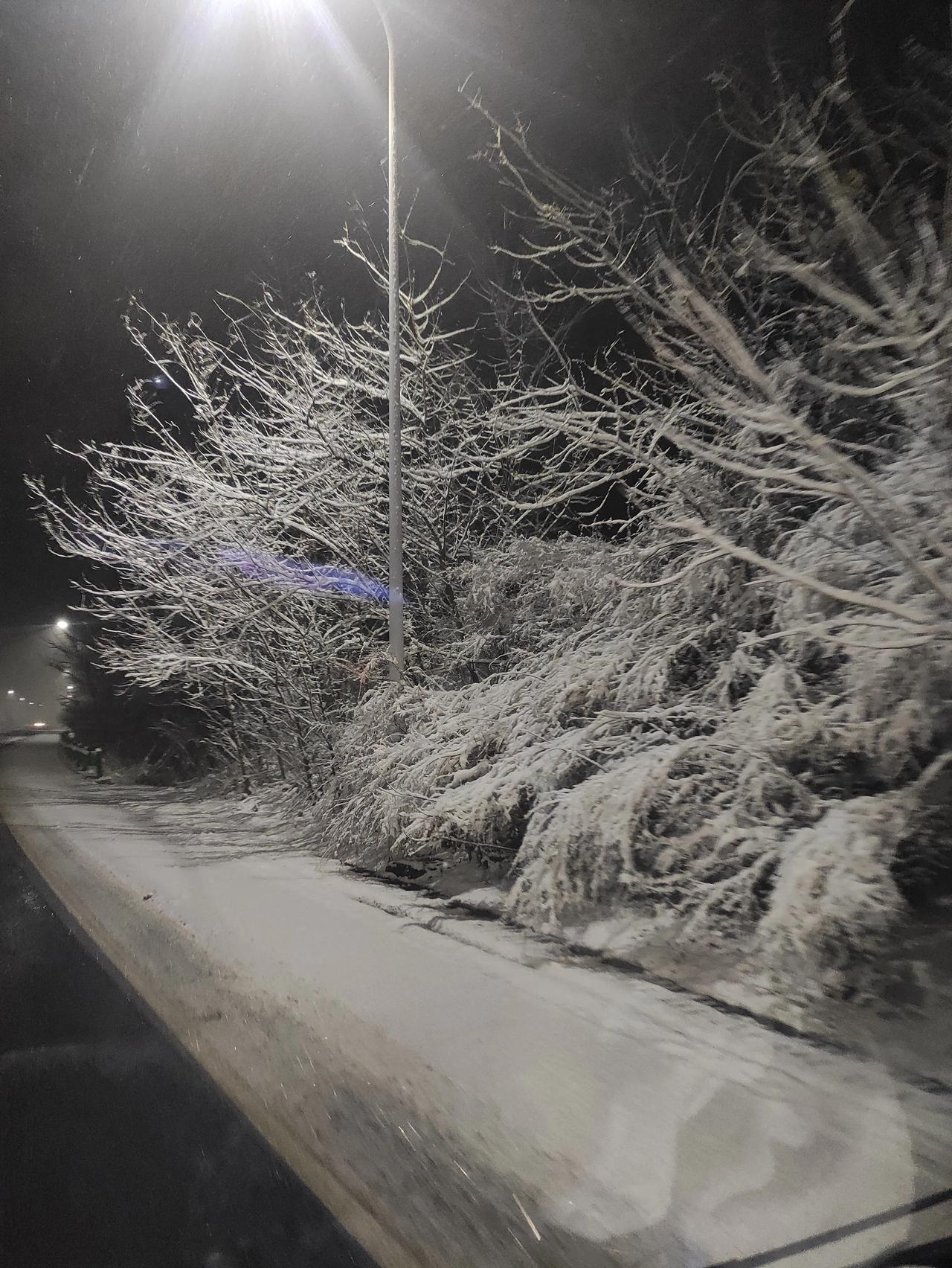 南阳头条道路千万条安全第一条天黑路滑社会复杂车友们注意安全