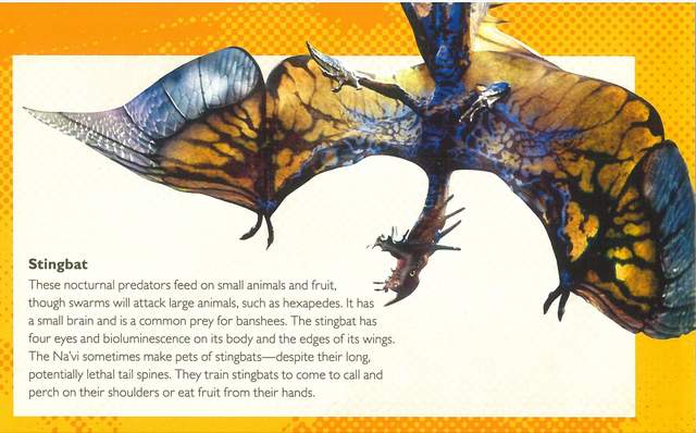 阿凡达空中生物档案这样的设计合理吗