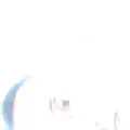 鹏友程