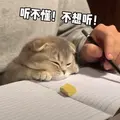 ysl啦啦啦不知道