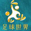 绿茵场上的那些事